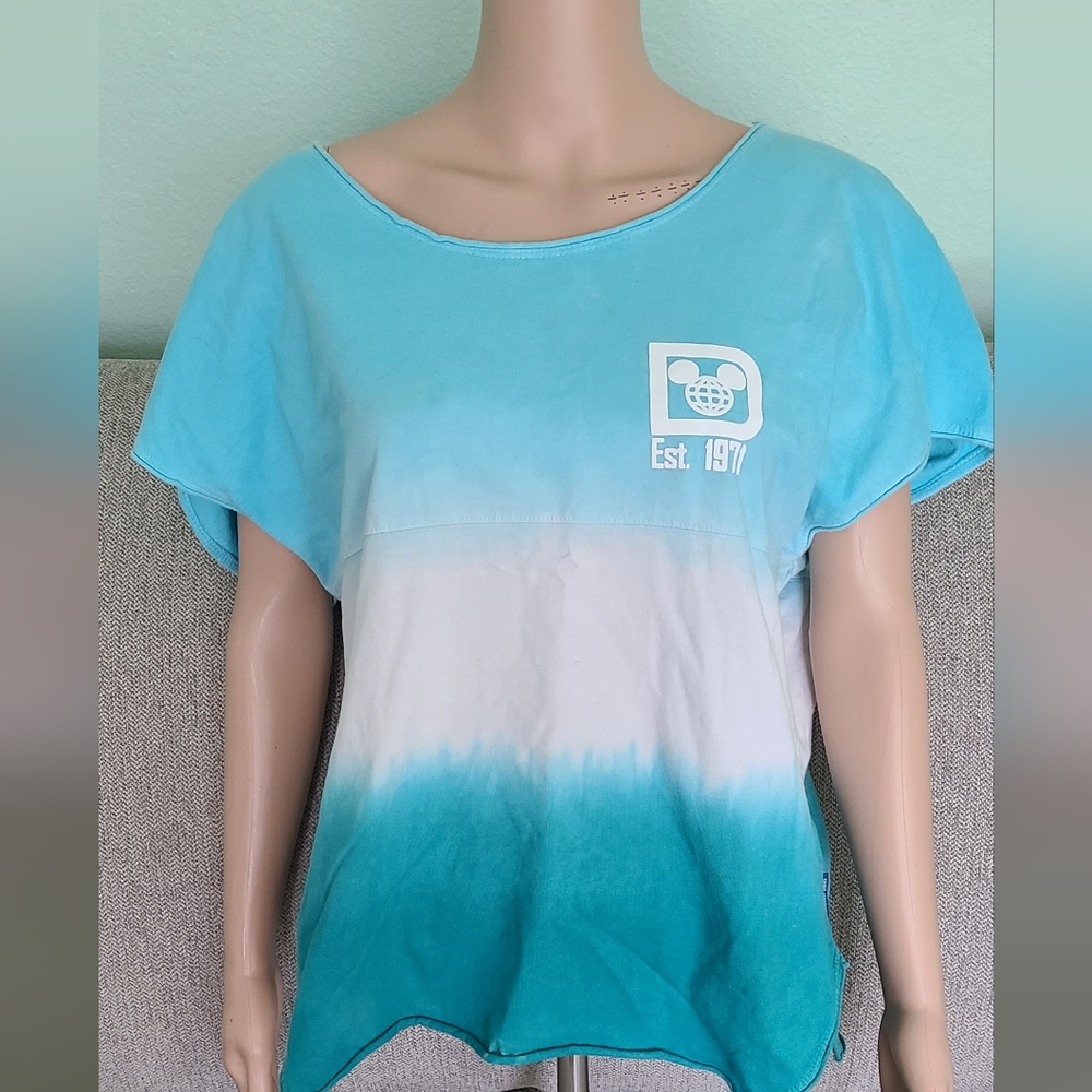 Walt Disney World Spirit Jersey Size small